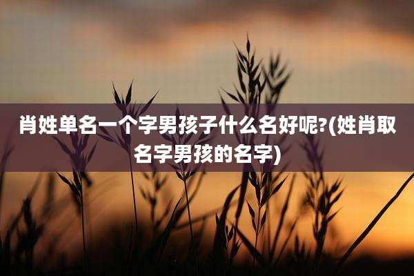 肖姓单名一个字男孩子什么名好呢?(姓肖取名字男孩的名字)