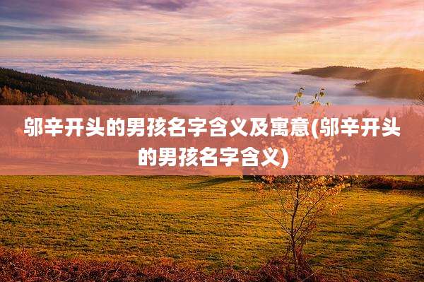 邬辛开头的男孩名字含义及寓意(邬辛开头的男孩名字含义)