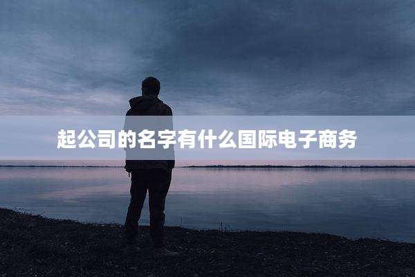 起公司的名字有什么国际电子商务