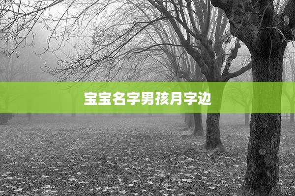 宝宝名字男孩月字边
