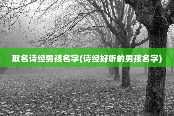取名诗经男孩名字(诗经好听的男孩名字)