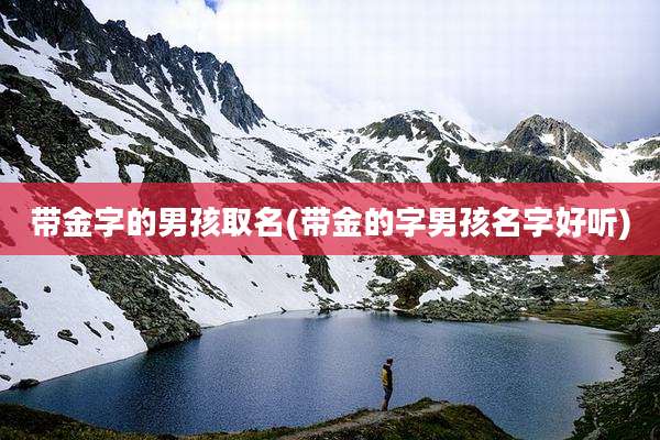 带金字的男孩取名(带金的字男孩名字好听)