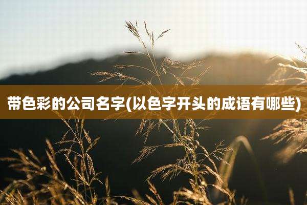 带色彩的公司名字(以色字开头的成语有哪些)