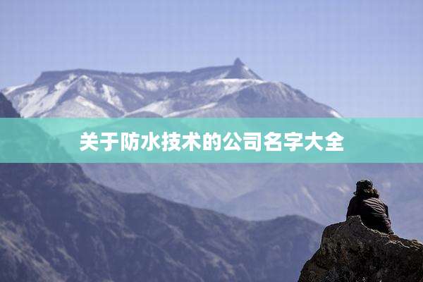 关于防水技术的公司名字大全
