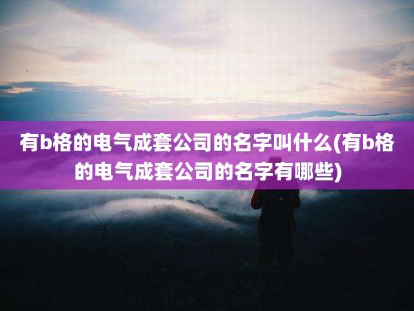 有b格的电气成套公司的名字叫什么(有b格的电气成套公司的名字有哪些)