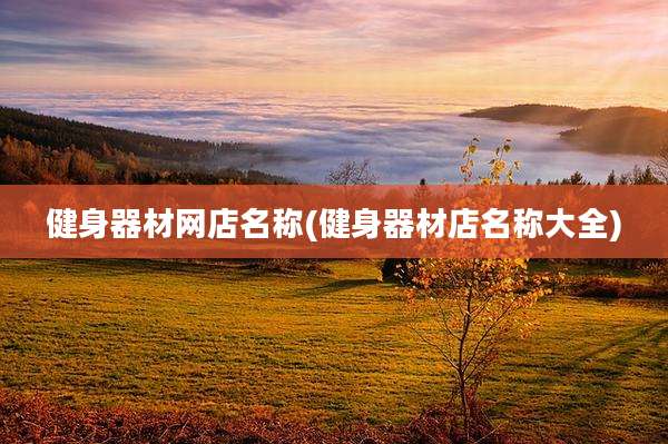 健身器材网店名称(健身器材店名称大全)