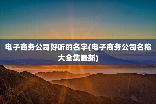 电子商务公司好听的名字(电子商务公司名称大全集最新)