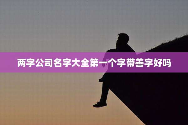 两字公司名字大全第一个字带善字好吗