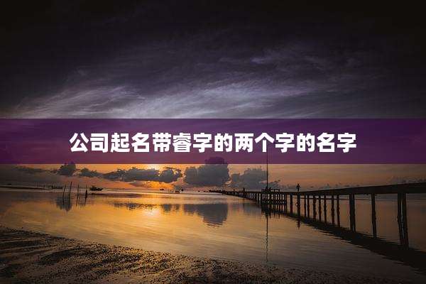 公司起名带睿字的两个字的名字