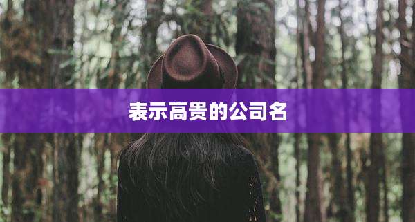 表示高贵的公司名