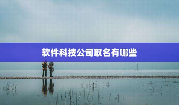 软件科技公司取名有哪些