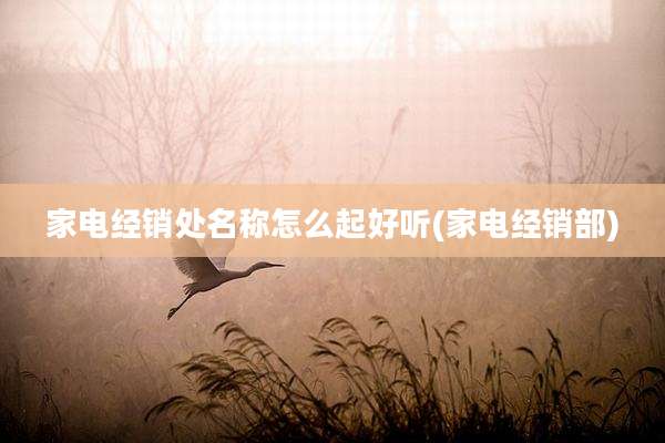 家电经销处名称怎么起好听(家电经销部)