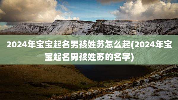 2024年宝宝起名男孩姓苏怎么起(2024年宝宝起名男孩姓苏的名字)