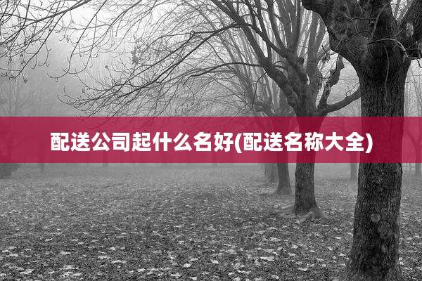 配送公司起什么名好(配送名称大全)