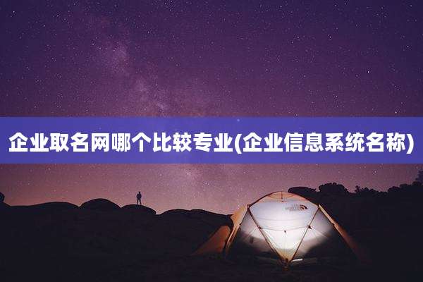 企业取名网哪个比较专业(企业信息系统名称)