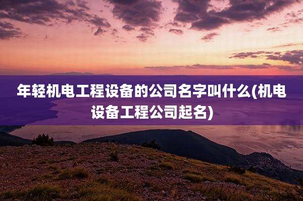 年轻机电工程设备的公司名字叫什么(机电设备工程公司起名)