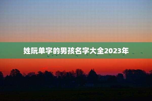 姓阮单字的男孩名字大全2023年