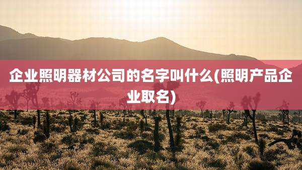 企业照明器材公司的名字叫什么(照明产品企业取名)