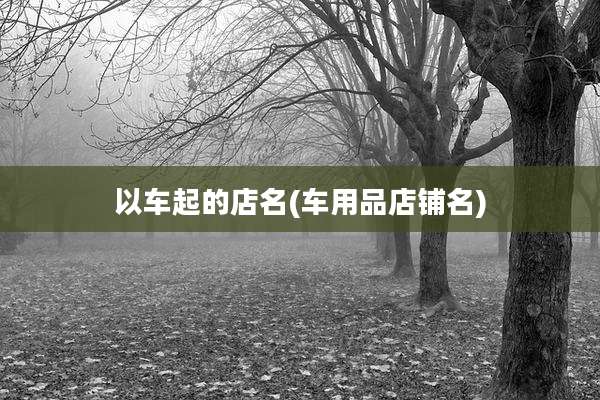 以车起的店名(车用品店铺名)