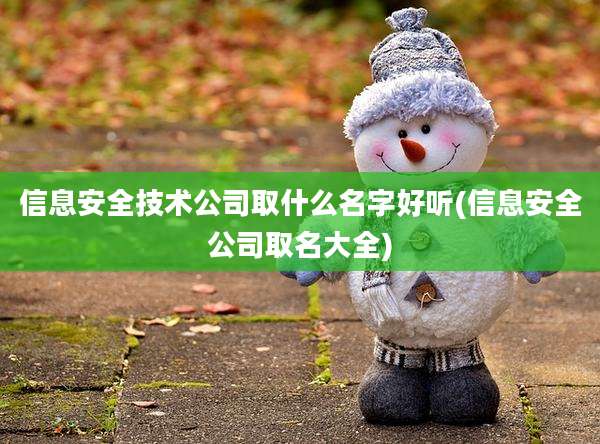 信息安全技术公司取什么名字好听(信息安全公司取名大全)