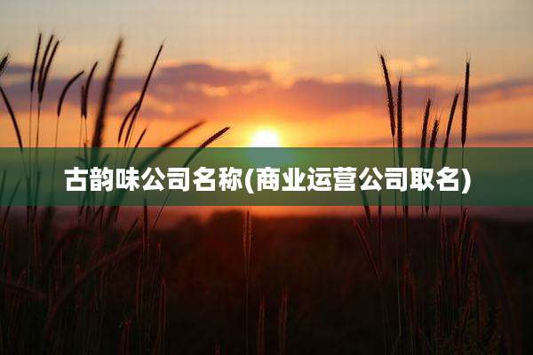 古韵味公司名称(商业运营公司取名)