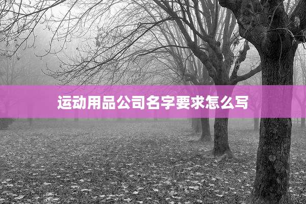 运动用品公司名字要求怎么写