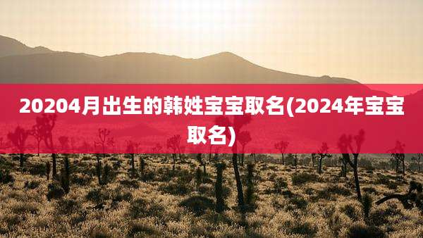20204月出生的韩姓宝宝取名(2024年宝宝取名)