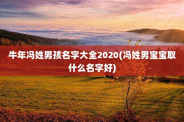 牛年冯姓男孩名字大全2020(冯姓男宝宝取什么名字好)