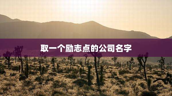 取一个励志点的公司名字
