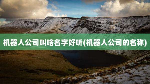 机器人公司叫啥名字好听(机器人公司的名称)