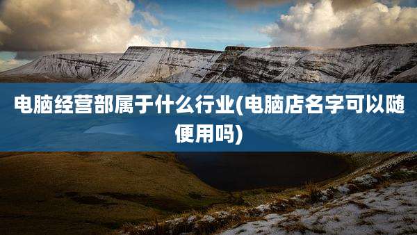 电脑经营部属于什么行业(电脑店名字可以随便用吗)