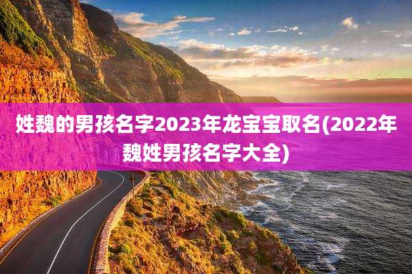 姓魏的男孩名字2023年龙宝宝取名(2022年魏姓男孩名字大全)