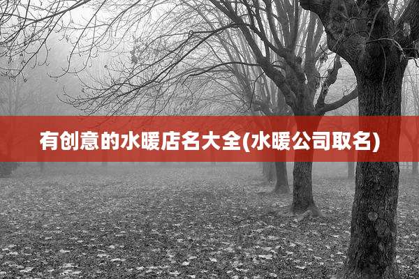有创意的水暖店名大全(水暖公司取名)