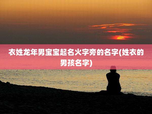 衣姓龙年男宝宝起名火字旁的名字(姓衣的男孩名字)