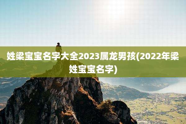 姓梁宝宝名字大全2023属龙男孩(2022年梁姓宝宝名字)