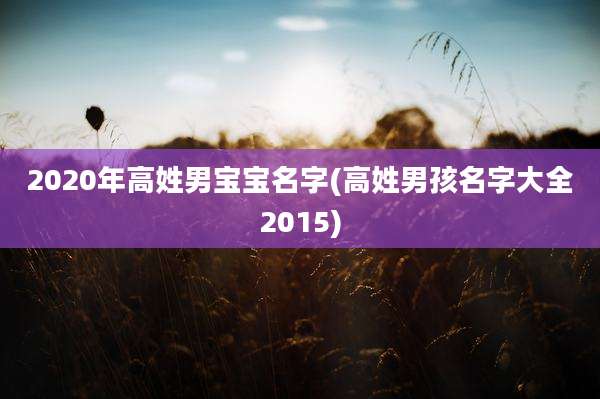 2020年高姓男宝宝名字(高姓男孩名字大全2015)