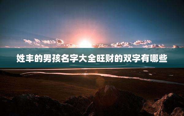 姓丰的男孩名字大全旺财的双字有哪些