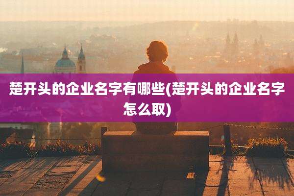 楚开头的企业名字有哪些(楚开头的企业名字怎么取)