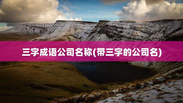 三字成语公司名称(带三字的公司名)
