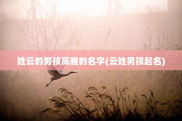 姓云的男孩高雅的名字(云姓男孩起名)