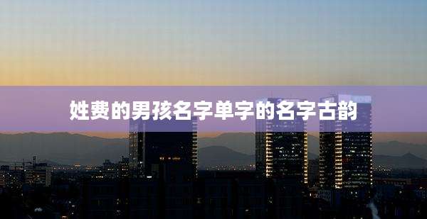 姓费的男孩名字单字的名字古韵
