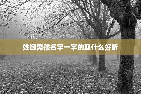 姓御男孩名字一字的取什么好听