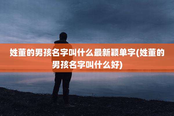 姓董的男孩名字叫什么最新颖单字(姓董的男孩名字叫什么好)