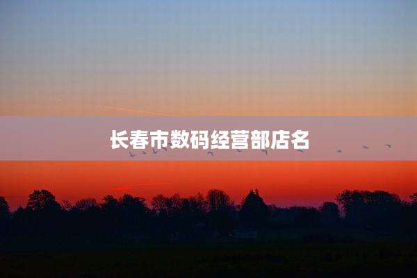 长春市数码经营部店名