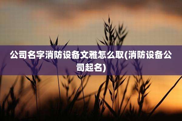 公司名字消防设备文雅怎么取(消防设备公司起名)