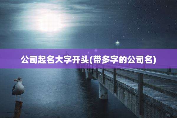 公司起名大字开头(带多字的公司名)
