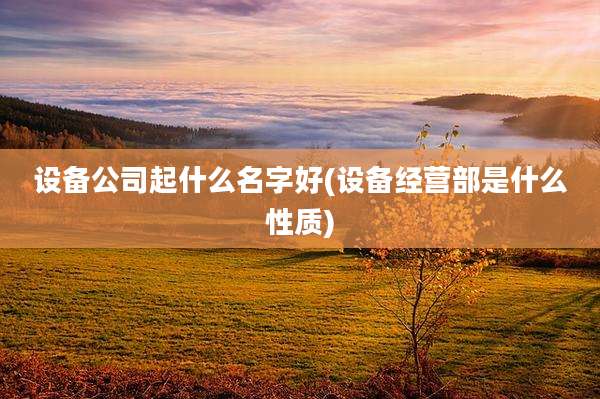 设备公司起什么名字好(设备经营部是什么性质)