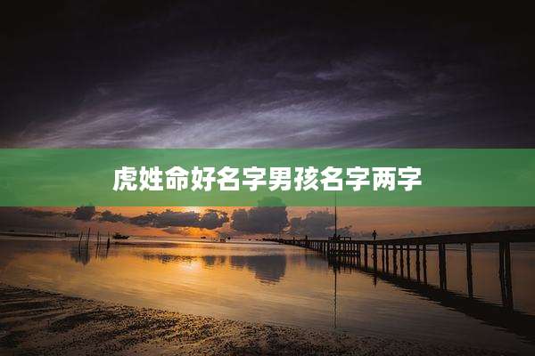 虎姓命好名字男孩名字两字