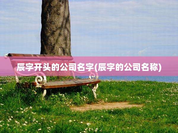 辰字开头的公司名字(辰字的公司名称)