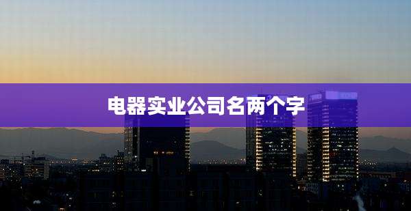 电器实业公司名两个字